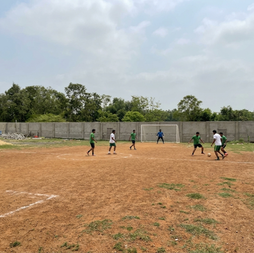 Playground & Sport Turf